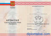 Аттестат 11 классов 2010-2013